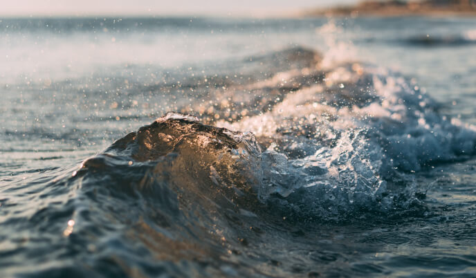 Цифровое телевидение для бизнеса